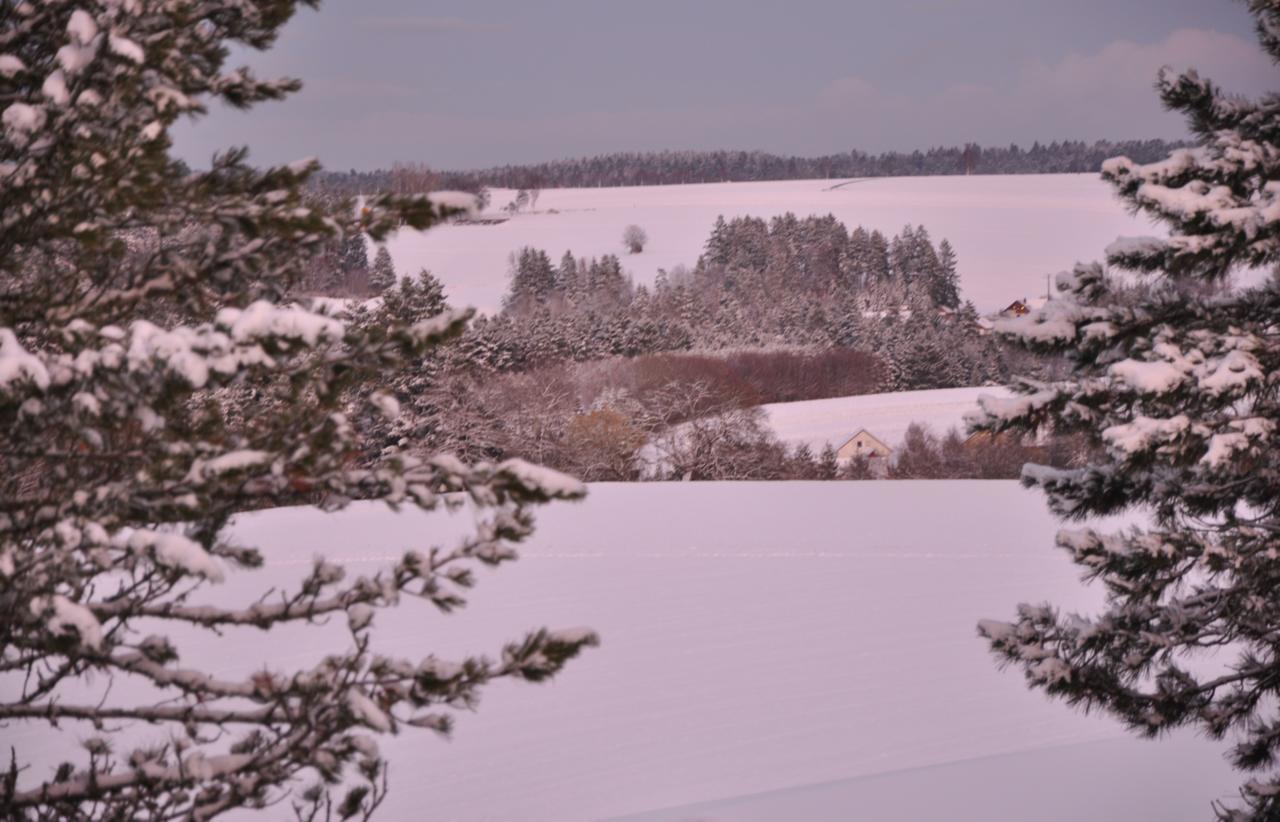 Landhotel Krone Alpirsbach Buitenkant foto